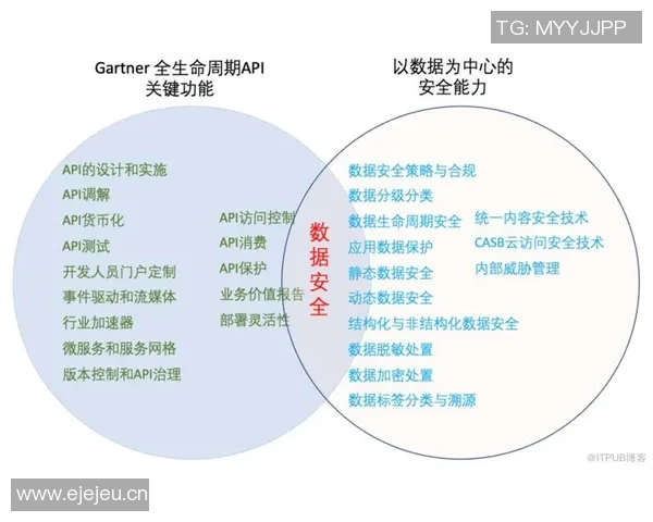 深入解析杭州网球队技术表现的数据分析与趋势研究 深入解析杭州网球队技术表现的数据分析与趋势研究