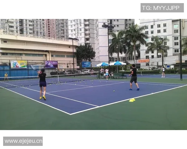 深圳网球队逆袭之路揭示奋斗精神与团结力量的完美结合